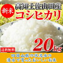 29年産 高知県土佐山田産コシヒカリ20kg【5kg×4袋】【新米入荷】【高級米/ブランド米】 送料無料 北海道・沖縄は700円の送料がかかります。こしひかり