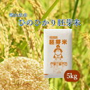 米 お米 5kg ひのひかり胚芽米 30年岡山県産 送料無料