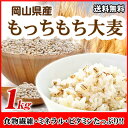 もっちもち大麦 1kg チャック付き 30年岡山県産