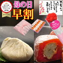 母の日 早割 プレゼント ギフト 和菓子 スイーツ お菓子 カーネーション 花 以外 花束 高級 あす楽 実用的 食べ物 お取り寄せ 市田柿 岐阜中津川 栗 100% 栗きんとん 10個 栗きんとん入り 干し柿 栗柿10個入 誕生日祝い スイーツグランプリ1位 送料無料 御祝 御礼 内祝 義母