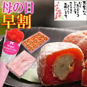 母の日 早割 プレゼント ギフト 和菓子 スイーツ お菓子 カーネーション 花 以外 花束 高級 あす楽 実用的 食べ物 市田柿 お取り寄せ 贈答品 くりきんとん 栗きんとん 入り 干し柿 栗柿15個入 栗 誕生日祝い 楽天総合ランキング1位 送料無料 御祝 御礼 内祝い 内祝 義母 法事