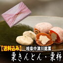【送料込み】岐阜中津川栗きんとん7個・栗柿8個入り4550円★秘密のケンミンshowで紹介&干し柿の中に栗きんとん【楽ギフ_包装】】(スイーツ 和菓子 お菓子 ギフト ホワイトデー 会社 職場 誕生日 プレゼント 父 母 母の日 カーネーション 彼氏)fs3gm 10P02Mar14