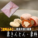 【送料込み】岐阜中津川栗きんとん・栗柿各10個入り5750円★秘密のケンミンshowで紹介&干し柿の中に栗きんとん【楽ギフ_包装】】(スイーツ 和菓子 お菓子 ギフト ホワイトデー 会社 職場 誕生日 プレゼント 父 母 母の日 カーネーション 彼氏)fs3gm 10P02Mar14