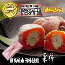 スタイルプラス・スーパーニュースで紹介★2014年新栗入荷【送料込み】栗柿10個入3750円 岐阜限定の高級スイーツ★秘密のケンミンshowで紹介★栗きんとん入り干し柿【楽ギフ_包装】(和菓子 贈り物 老舗 市田柿 マロン 秋くり 御歳暮 お年賀 柿のお菓子)fs3gm 10P01Nov14