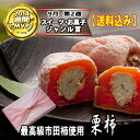 スタイルプラス・スーパーニュースで紹介★2014年新栗入荷【送料込み】栗柿15個箱入5250円★秘密のケンミンshowで紹介★栗きんとん入り干し柿【楽ギフ_包装】(和菓子 お菓子 スイーツ 贈り物 岐阜 老舗 柿菓子 栗菓子 マロン 新栗 くり お歳暮 お年賀)fs3gm 10P01Nov14