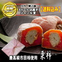 スタイルプラス・スーパーニュースで紹介★2014年新栗入荷【送料込み】栗柿20個箱入6750円★秘密のケンミンshowで紹介★栗きんとん入り干し柿【楽ギフ_包装】(和菓子 お菓子 岐阜 老舗 栗菓子 マロン 秋の味覚 くり お歳暮 お年賀 栗のお菓子)fs3gm 10P01Nov14