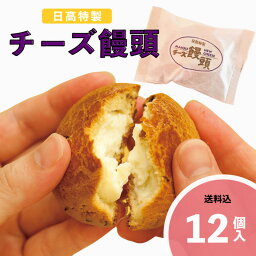 【送料込】 宮崎 スイーツ お菓子 洋菓子 焼菓子 ギフト 詰め合わせ 人気 お取り寄せ お取り寄せスイーツ まんじゅう チーズ 宮崎名物日高の<strong>チーズ饅頭</strong>12個入 ご当地 菓子折り 名物 贈答用 食べ物 お土産 饅頭 和スイーツ 母の日 ホワイトデー 贈答品 和菓子