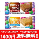 (全国送料無料)バランスオンminiケーキ 選り取り24個 (2種類×12個) メール便