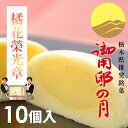 ≪平成25年全国菓子大博覧会 橘花榮光章 受賞≫≪栃木県推奨銘菓≫御用邸の月 (10個)