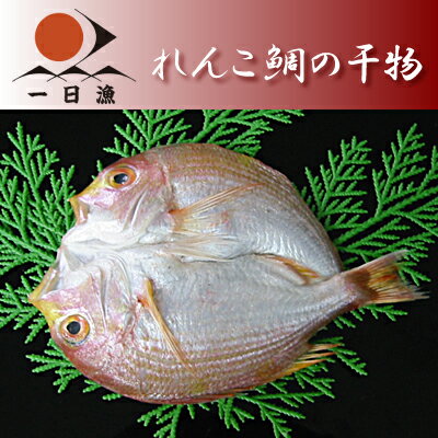 れんこ鯛の干物 1尾大（130〜160g）【岡富商店】...:okatomi:10000115