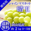 \ 送料無料 / 岡山県産 シャインマスカット 晴王 糖度18度 赤秀品 3〜5房2kg 贈答用 天然 スイーツ 葡萄 ぶどう ブドウ ギフト 夏ギフト ペアギフト お中元 御中元 お供え【予約6月下旬から発送】【岡山果物工房】