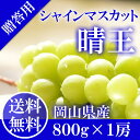 岡山県産 シャインマスカット 晴王 赤秀品 1房800g 【...