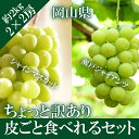 \ ちょっと訳あり / 送料無料 4房 (2房×2房) 優品 岡山県産 シャインマスカット 瀬戸ジャイアンツ 家庭用 天然 スイーツ 葡萄 敬老の日 ブドウ ギフト 秋ギフト ペアギフト プレゼント お供え【予約8月下旬から発送】【岡山果物工房】