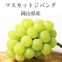 マスカットジパング 岡山県産 青秀品 800g 贈答用 お歳暮 葡萄 ぶどう ブドウ ギフト 【岡山果物工房】