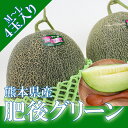 \ 肥後グリーン / もぎたて メロン 熊本県産 4玉入り M~L 糖度16度以上 化粧箱 父の日 ギフト ペアギフト 贈答用 お祝い お礼 プレゼント 贈り物【岡山果物工房】