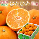 はれひめ 5kg ちょっと 訳あり 大きさお任せ 中島産 贈...