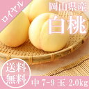 岡山 白桃 贈答用 中玉 7〜9玉入り 約2.0kg ロイヤ...