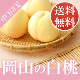 ＼ 送料無料 ／ 岡山 白桃 贈答用 中玉 3玉入り 約800kg キング 秀品 もぎたて 桃 ギフト 夏ギフト ペアギフト お中元 御中元 お供え 化粧箱 スイーツ 水蜜桃【予約6月下旬から発送】【岡山果物工房】