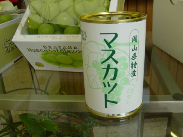 岡山 特産 マスカットの缶詰【吉英フルーツ】...:okayama:10006012