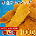 太陽の恵み　熱帯果物の王様　フィリピン　セブ島産　最高級無添加半生ドライマンゴー　100g入り【無添加ドライマンゴー100g】