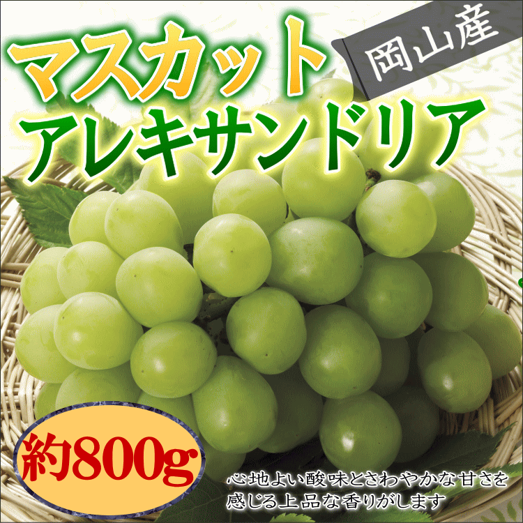 贈り物に最適！ 岡山産　マスカット　アレキサンドリア　（800g）化粧箱入り【岡山産マスカット800g】