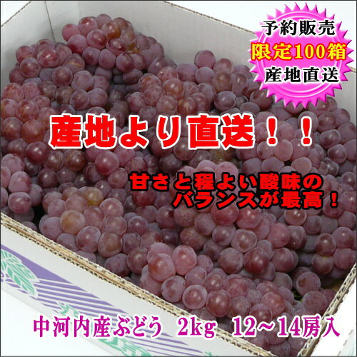 7月末より出荷開始！　数量限定 大阪中河内産　デラウェア　2kg（12〜14房入）【デラウェア2kg】