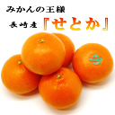 【送料無料】濃厚な甘みと、たっぷりとしたたる果汁!!みかんの王様! 長崎産 プレミアムせとか 約3Kg 3L〜5Lサイズ(大玉6〜8玉入り)【せとか3kg6〜8玉】