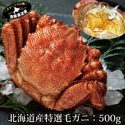 北海道産 特選 ボイル 毛ガニ 500g （堅蟹一番手）北海道 オホーツク 雄武 けがに 甲羅 けがに 毛蟹 毛がに かにみそ カニミソ 送料無料 新春 母の日 父の日