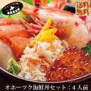 《ギフト》海鮮丼セット 特選 五種盛り 4人前 北海道 海鮮