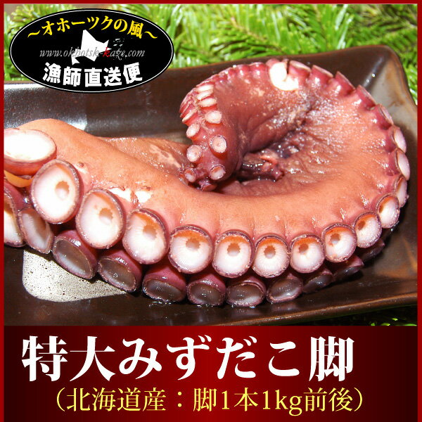 みずだこ ミズダコ 北海道『特選北海大タコ脚：1本800g〜1kg前後』（北海道産ミズダコ…...:okhotsk-kaze:10000719