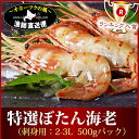 ボタンエビ ぼたんえび 送料無料『刺身用ボタン海老:特大サイズ500gパック』(1パック約7-10尾前後)ぼたんエビ ぼたん海老 刺し身 北海道 プリプリ ジャンボ エビのし ギフト 贈答用 メッセージカード対応海鮮 魚 敬老の日