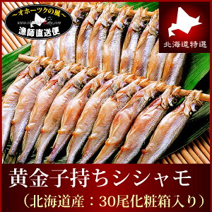 ししゃも シシャモ『子持ち本シシャモ30尾：北海道産化粧箱入り』（ご贈答用・ギフトとしてもご推奨）子持ちししゃも 子持シシャモ 柳葉魚 一夜干し むかわ 鵡川海鮮 魚《お中元》 《夏ギフト》