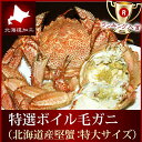 毛ガニ 北海道産 特大【送料無料】『プレミアム銀賞 毛蟹』(...