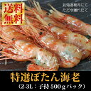 【送料無料】『刺身用ボタン海老：特大500gパック』（北海道稚内産）口の中いっぱいに広がるまったり濃厚ぼたんえびの甘味！安心安全な北海道産最高級アイテムです。【夏の大バーゲンセール♪】