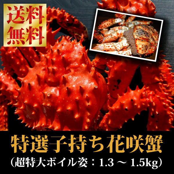 【送料無料！】『特大子持ち花咲蟹（北海道根室産：1.1〜1.3kg前後）』【タラバに負けないド迫力！】根室花咲港名物のハナサキ蟹の中でも激レア特大メスを厳選！【夏の大バーゲンセール♪】【当店オリジナル夏の大バーゲンセール!】在庫限りの大放出♪【数量完全限定品】プチプチ外子＆まったり濃厚な内子が味わえる激レア蟹です！