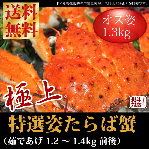 【送料無料-お手頃サイズ】『姿本タラバ蟹：ボイル1.2kg前後』（水揚げ時重量：1.8kg前後）