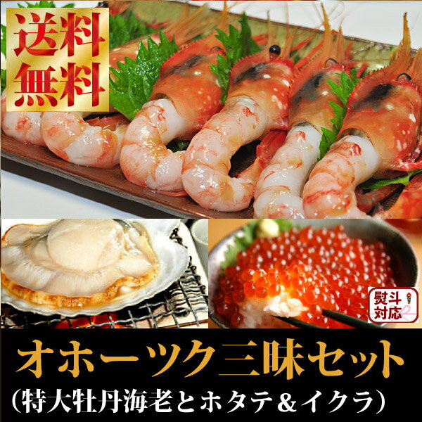 yEăMtgzyzw{^GrECNEz^ẽIz[cNOZbgxyMtgzyyMt_̂z