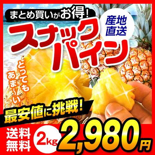 【送料無料】沖縄県産 スナックパイン 2kgちぎって食べる ボゴールパイン パイナップル パイン 沖...:oki-toku-r:10000207