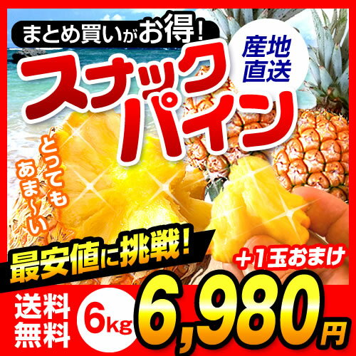 【送料無料】沖縄県産スナックパイン 6kg ＋1玉プレゼント！ビタミン｜スナックパイン｜パ…...:oki-toku-r:10000209