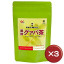 【送料無料】醗酵グァバ茶(60袋入り) 3箱セット