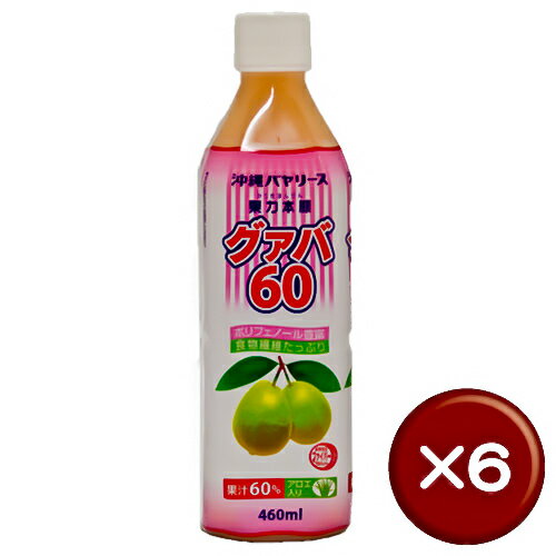 沖縄バヤリース 果力本願グァバ60(460ml) 6本セットポリフェノール・ビタミンC・食物繊維がたっぷり｜糖尿病｜動脈硬化｜生活習慣病［飲み物＞ソフトドリンク＞グァバジュース］