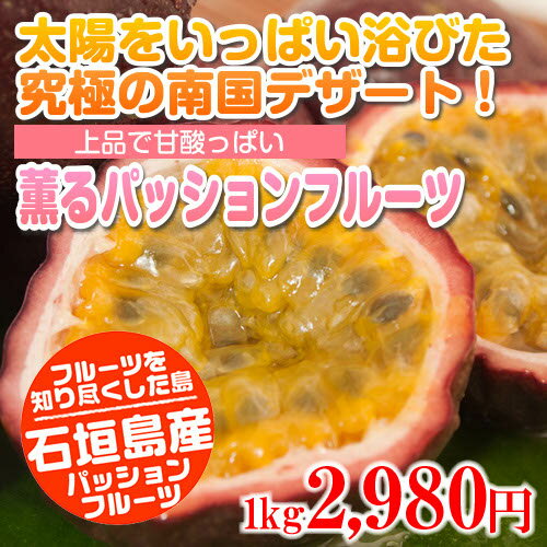 【送料無料】【5%off】石垣島明石産・南国の薫る美味しさ、パッションフルーツ　1kg葉酸・ビタミンがたっぷり｜沖縄土産｜お中元｜ギフト［食べ物＞フルーツ＞パッションフルーツ］半透明ゼリー状の果肉、オレンジ色で種と果汁が一緒になっていて、高貴で魅惑的な香りと上品な甘酸っぱさが特徴！プレゼントにも。｜パッションフルーツ｜送料無料｜5%off