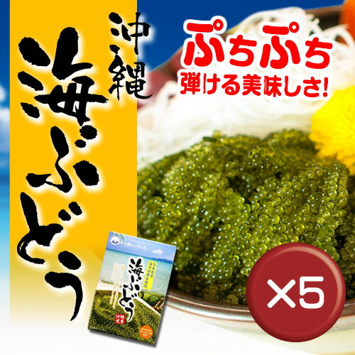 海洋深層水使用　ぷちぷち海ぶどう 40g 5箱セットミネラル｜沖縄|おみやげ｜海ぶどう｜海…...:oki-toku-r:10011321