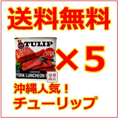 沖縄お土産チューリップポーク340gうす塩味5個セット
