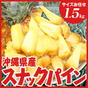 ²Æì¸©»º¥¹¥Ê¥Ã¥¯¥Ñ¥¤¥ó Ìó1.5kg¡Ê¥µ¥¤¥º¤ªÇ¤¤»1¡Á3¶Ì¡Ë