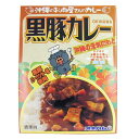 オキハム 沖縄のお肉屋さんのカレー 黒豚カレーx20【送料無料|沖縄|レトルト|沖縄土産|おみやげ|取り寄せ|沖縄料理】