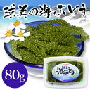 球美の海ぶどう 80g【海ぶどう|海葡萄|クビレズタ|沖縄|...