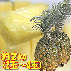 【送料無料！】沖縄県石垣島産のスナックパイン約2kg（2玉〜4玉）