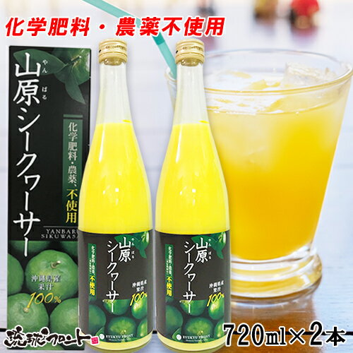 沖縄土産 送料無料 沖縄県産 山原(やんばる)シークヮーサー 720ml×2本 沖縄県産 シークワーサー 果汁 100％ 琉球フロント