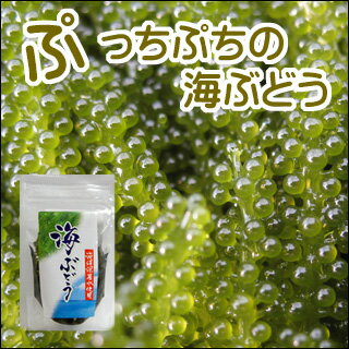 【沖縄土産】海ぶどう30g【お中元】【5千円以上送料無料】【お中元ギフト】【2sp_120810_green】